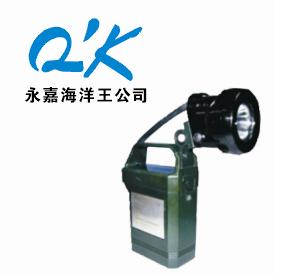 IW5120便携式免维护强光防爆工作灯